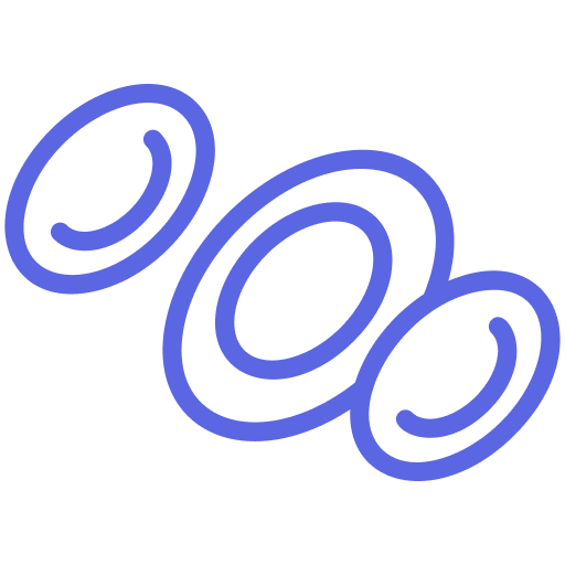  Healthcare RCM Services